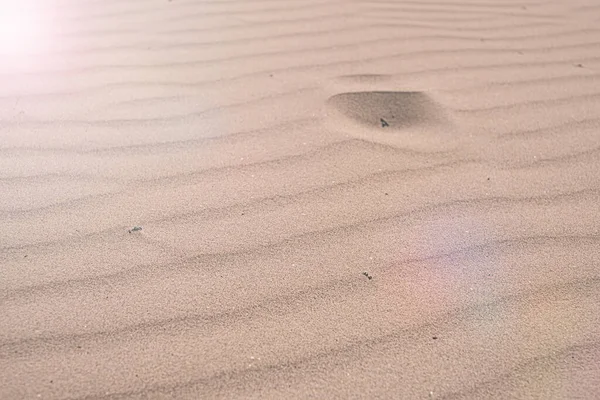 Brown Sand Texture Closeup Sand Backgound Top View — Fotografia de Stock