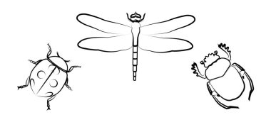 litografi, tılsımlar, işaretler ve semboller, işaret vektörü, antik, efsanevi öğeler, zenginlik, sembol simgeleri, fauna, imaj, şanslı, iyi şans ikonu, refah ikonu, refah simgesi, başarı ikonu, sembol, böcek, Mısır, Mısır, Mısır, kabile, sevimli böcek, sevimli uğur böceği
