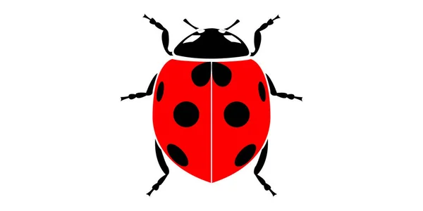 Sevimli Renkli Uğur Böceği Kırmızı Böcek Beyaz Arka Planda Izole — Stok Vektör