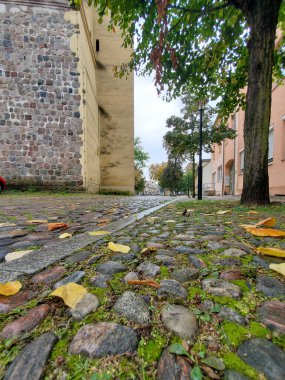 Sonbahar yürüyüşü, taşlar, düşen yapraklar, bulutlu bir gün.