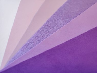 Doku arka planı, 2022 yılının rengi çok perili