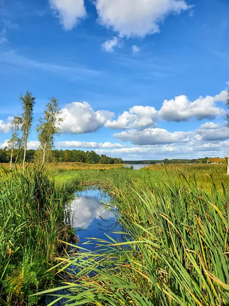 Egy felhős kék égbolt tükröződik egy patak pocsolyájában a fű között, egy tiszta, napos nyári napon. — Stock Fotó