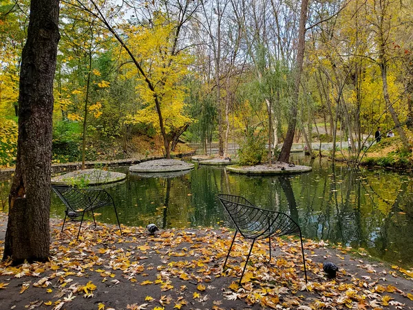 Schöner Herbst im Park, gelb-grün-orangefarbenes Laub, Teich im Herbstwald — Stockfoto