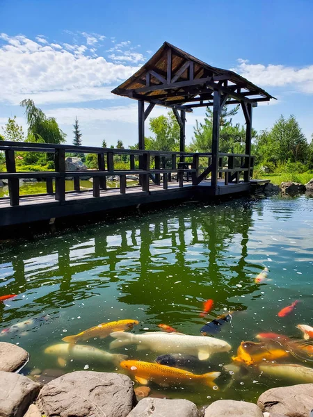 池、木製の橋、展望台、風景公園で夏の晴れた日に鯉金魚、曇りの空、美しい自然 — ストック写真
