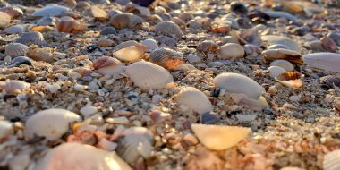 Şafakta deniz kıyısı, dokular doğal arka plan, makro manzara