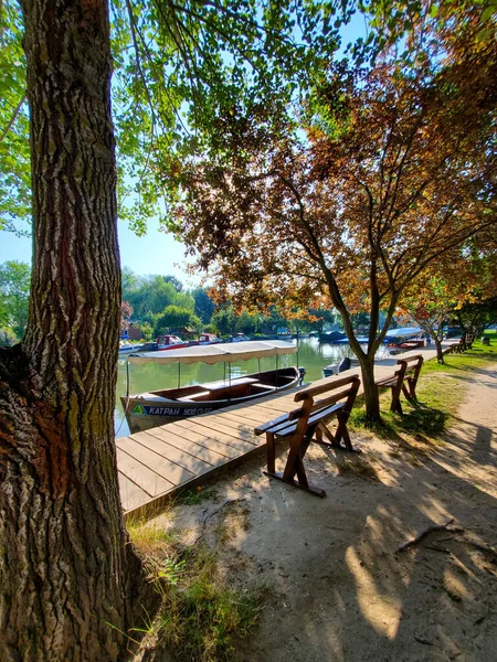 Kilátás a tóra a partról, padok és fák, természetes táj a nap folyamán — Stock Fotó