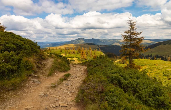 Rodnei Dağları Ulusal Parkı, Maramures, Romanya 'daki görkemli bir dağ manzarasının gölgeleri ve ışıkları