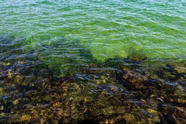 Yeşil deniz suyunda görünen kayalıklarla sakin deniz kıyısı.