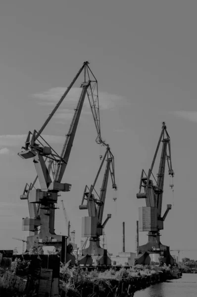 Hafenkräne Schwarz Weißen Farben — Stockfoto
