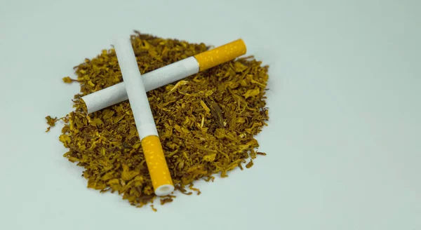 Tobacco Cigarettes White Background — Stock Photo, Image