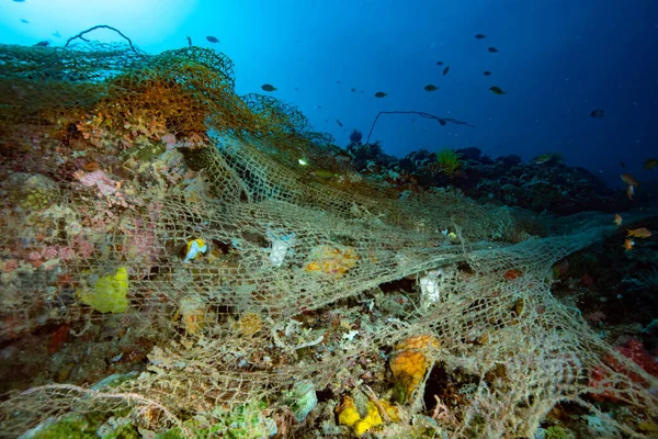 Terk edilmiş balık takımları Filipinler hayalet ağları