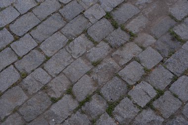 gri beton kaldırım parçaları arasında bazı küçük çimenler büyümüş.