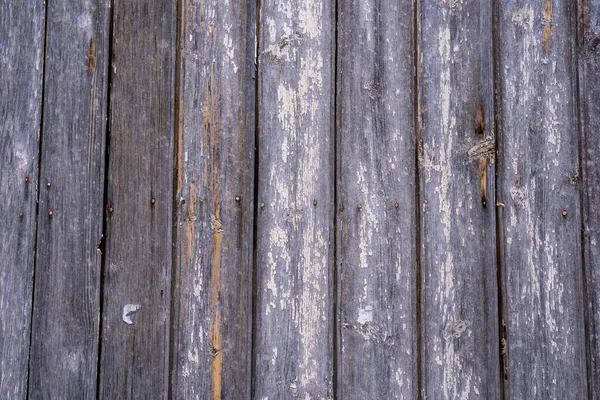 Fából Készült Épület Világos Táblák Piros Tetővel Egy Gyönyörű Kerítés — Stock Fotó