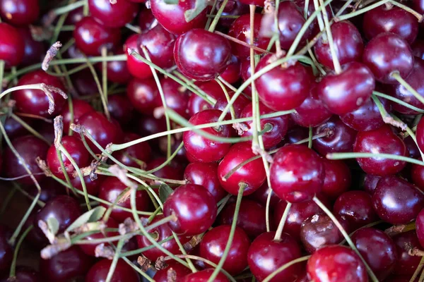 Güzel kırmızı kirazlar şarapları üst üste koyarlar, ilginç bir desen oluştururlar.