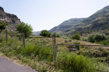 Yol kenarındaki bariyeri görebileceğiniz otoyoldan geniş bir ekin tarlası görünüyor.