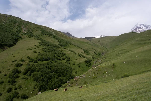 Catene Montuose Della Georgia Kazbegi Dove Due Montagne Formano Una — Foto Stock