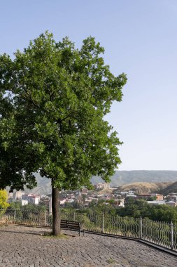 Bir çitle çevrili bir meydanın köşesi ve arkasında yeşil bir ağaç büyüyen tepenin aşağısındaki şehre bakan.