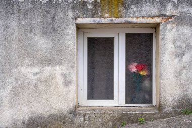 Pencerenin arkasında çiçekli vazonun görülebildiği plastik pencereli binanın eski parlak cephesi