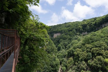 Yeşil ağaçları ve çalıları olan olağanüstü kasvetli ve gizemli bir parkın tepesinden dağ manzarası,
