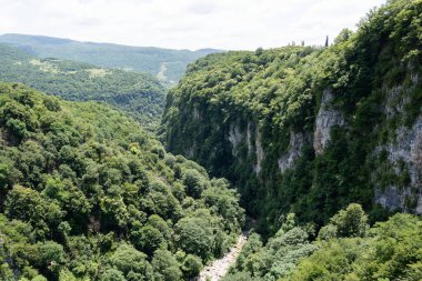 Yeşil ağaçları ve çalıları olan olağanüstü kasvetli ve gizemli bir parkın tepesinden dağ manzarası,
