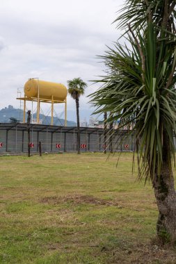 Arkasında büyük gri bir çit olan yeşil bir palmiye var. Üstünde de büyük sarı bir fıçı su var.