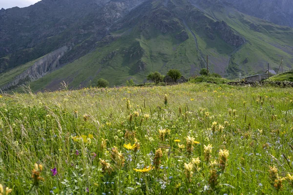 美しい青い空と素晴らしい山の景色を背景に多くの花が咲く美しい緑の草原 — ストック写真