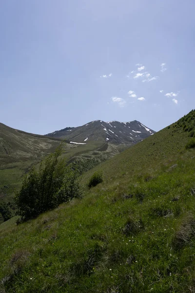 Las Cadenas Montañosas Kazbegi Georgia Son Verdes Tienen Cielo Despejado — Foto de Stock