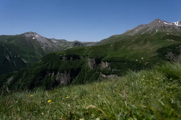 Catene Montuose Kazbegi Georgia Sono Verdi Hanno Cielo Limpido Sopra — Foto Stock