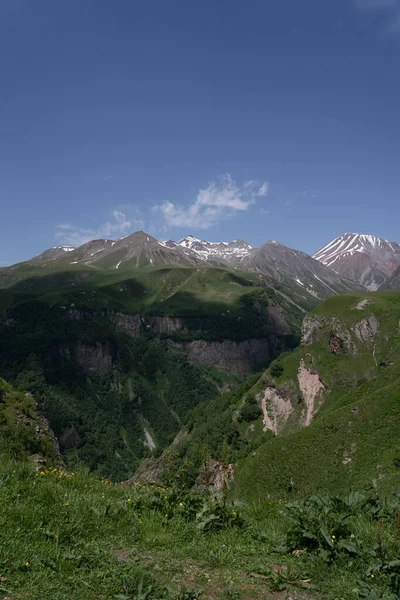 美丽的格鲁吉亚山脉 绿草繁茂 黄花盛开 山顶上有巨大的尖峰 山顶上有小小的白雪 头顶是蓝天 — 图库照片