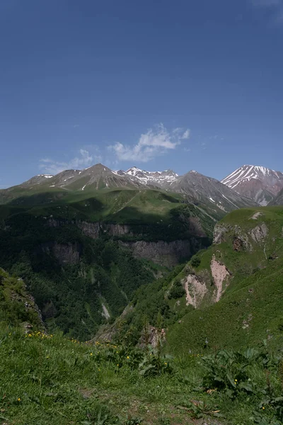 緑の草と黄色の花を咲かせる美しいジョージアの山々 小さな白い雪がある山の頂上と青い空の上に大きなスパイク — ストック写真