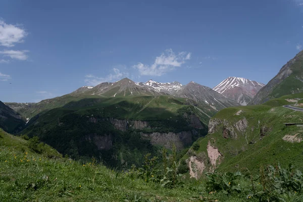 Belle Montagne Georgiane Con Erba Verde Fiori Gialli Fiore Grandi — Foto Stock