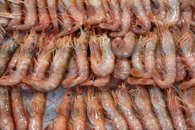 Balık pazarında üst üste yığılmış karidesler.