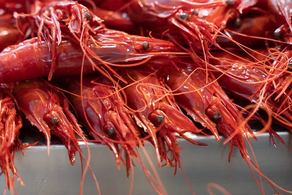 Red Crayfish Fish Market Stacked Top Each Other Light Ice — Stock Photo, Image