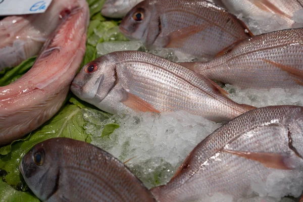 fish in a fish market stacked on top of each other on light ice and the fish are looking directly at you