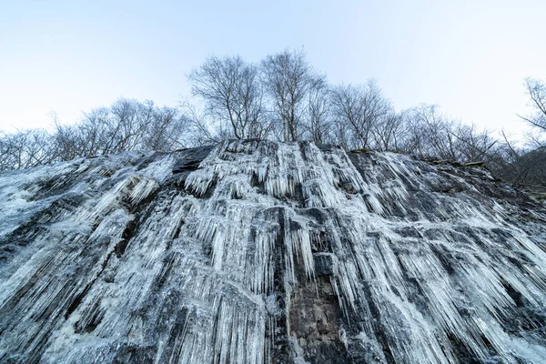 Frozen Icicles Rocky Rock Which Trees Bald Branches — Stock Photo, Image