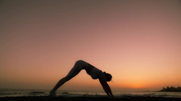 Sain Avec Yoga Concept Jolie Jeune Femme Pratique Cobra Pose — Video