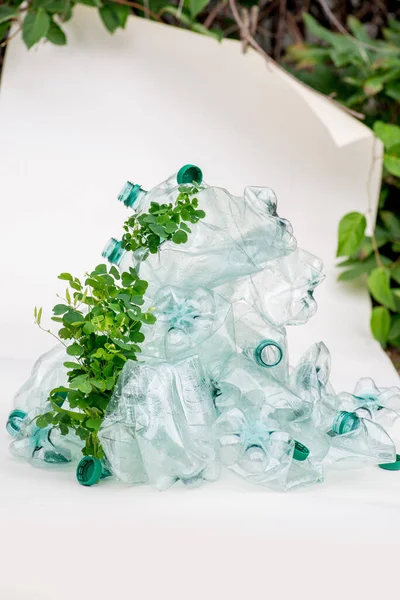 Groenen Wikkelen Groeien Lege Plastic Flessen Afval Sorteren Terugwinning Van — Stockfoto