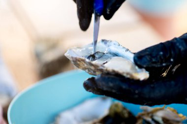 oyster is opened and cut with a special knife clipart