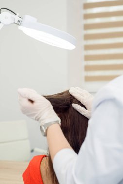 Doktor dermatolog, uzun siyah saçlı kadın hasta üzerinde saç kaybı testi yapıyor. Saç ve kafa derisi hastalıklarının teşhisi
