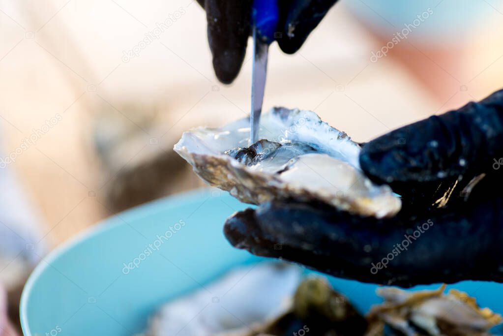 oyster is opened and cut with a special knife