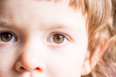 bebek koyu kahverengi gözleri yakın plan. Doğruca objektife bak.