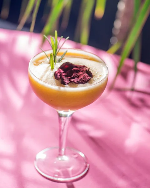 Tropische Cocktail Een Achtergrond Van Gebladerte Schaduwen Van Zon Roze — Stockfoto