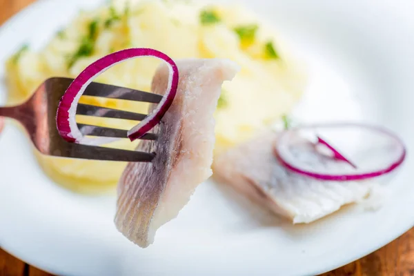 叉子上的鲱鱼片 特写的 在餐桌上的鲱鱼 — 图库照片