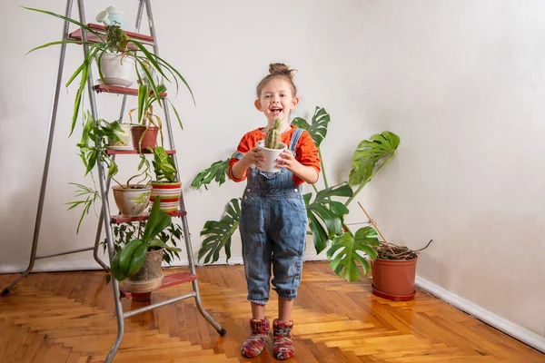 Kotlu mutlu çocuk bir kaktüs tenceresini taşaklarına dayadı.