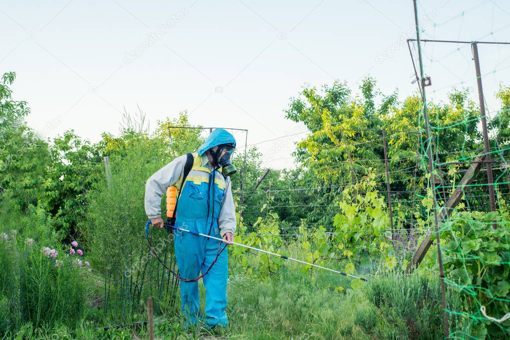 Farmer spraying plants in the garden and vegetable garden with a pesticide sprayer.