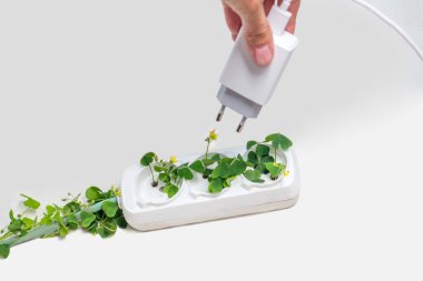 Yeşil bitkilerle elektrik prizi. Sürdürülebilir kaynaklar ve yenilenebilir elektrik kavramı. Kopyalama alanı olan beyaz arkaplan