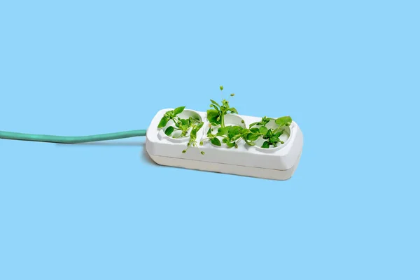 Electric socket with green plants. The concept of sustainable resources and renewable electricity. White background with copy space