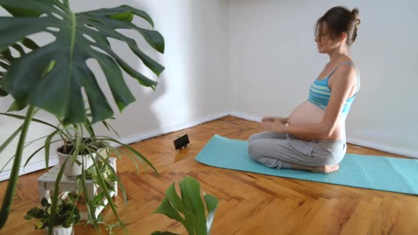 Pregnant Young Caucasian Woman Doing Yoga Namaste Online Workout Pregnant — Stockvideo