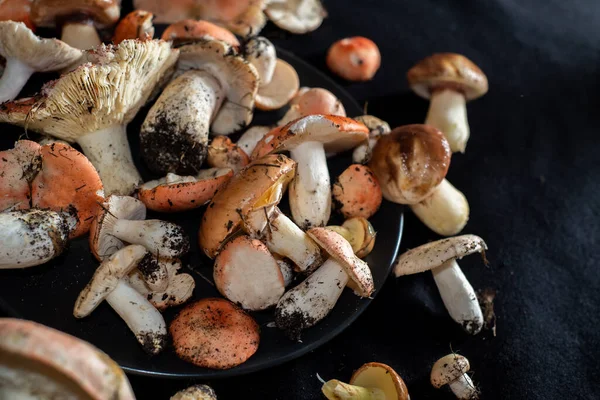 Verschiedene Speisepilze Die Wald Gesammelt Wurden Nachhaltiger Lebensstil Pilze Sammeln — Stockfoto