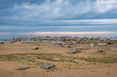 Yazın Baltık Denizi manzarası